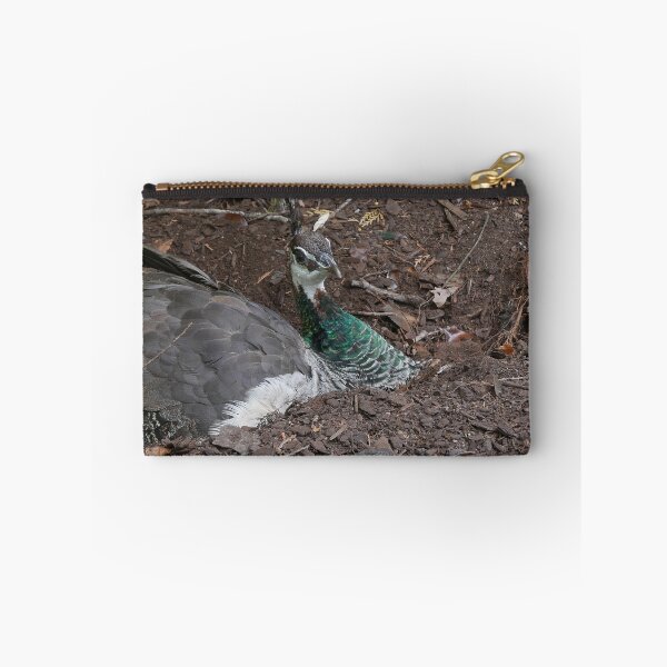 Item preview, Pea Hen, Cataract Gorge designed and sold by pierredubrelle.