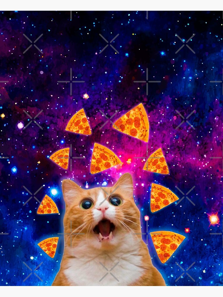"Pizza Cat" Poster by Yeldar Redbubble