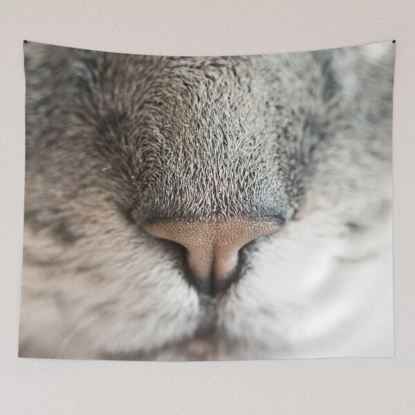 Item preview, Feline Close Up designed and sold by kirtash1.