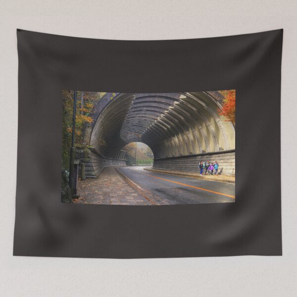 Item preview, Tunnel at Kamakura Japan designed and sold by carllaev.