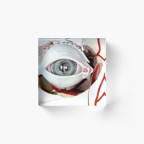 Item preview, Artificial eye designed and sold by annafokina.