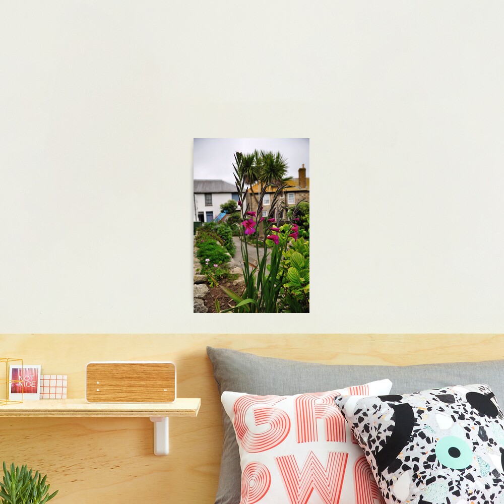 Flowers In a Border Photographic Print