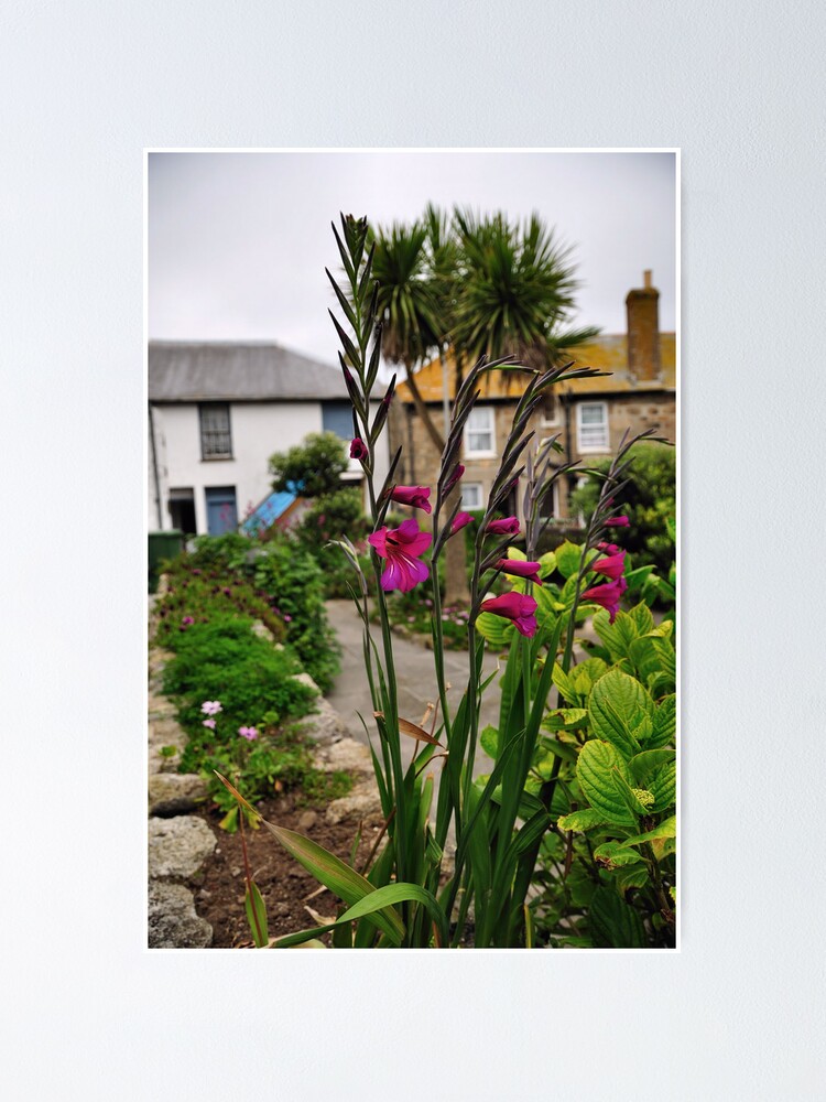 Alternate view of Flowers In a Border Poster