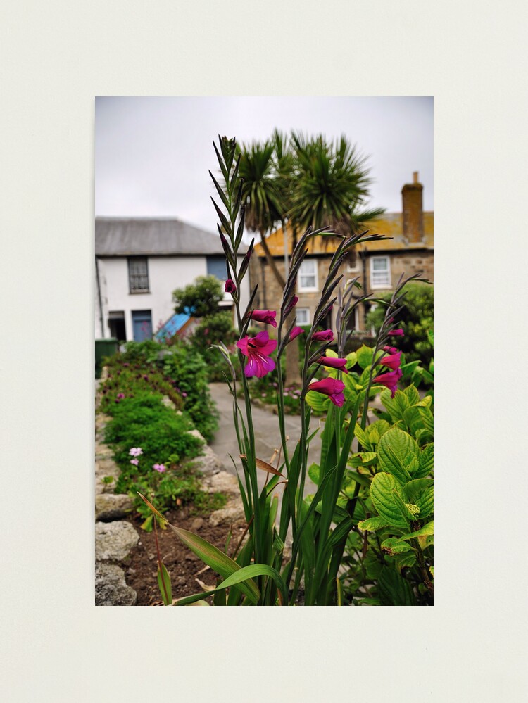 Alternate view of Flowers In a Border Photographic Print