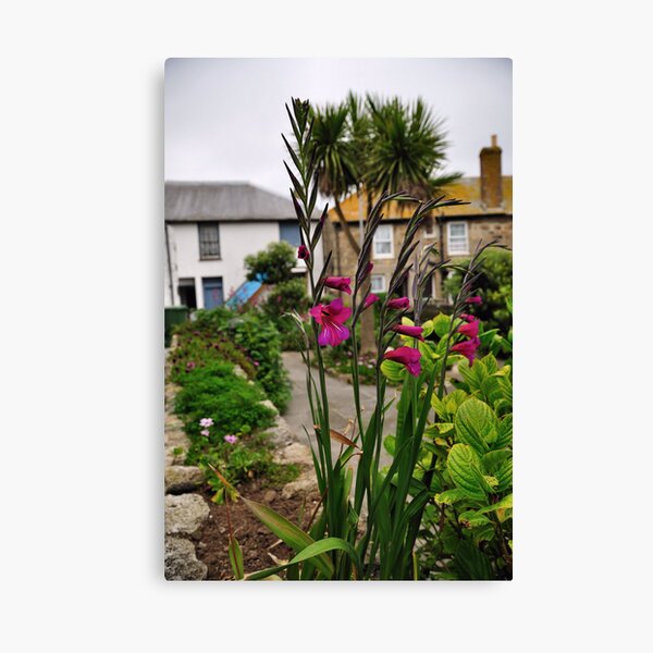Flowers In a Border Canvas Print