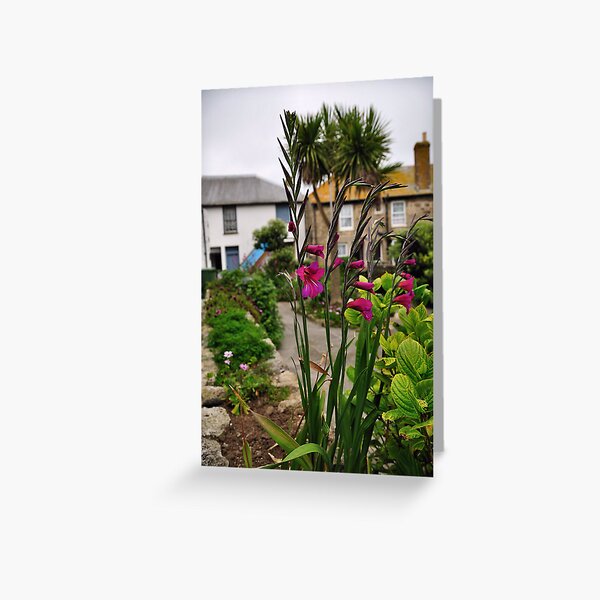 Flowers In a Border Greeting Card