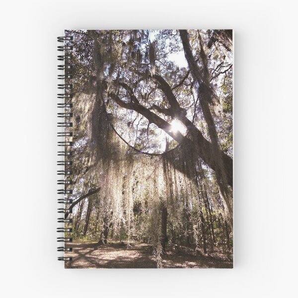 Item preview, The spanish moss of Dafuskie Island designed and sold by Yviemakes.