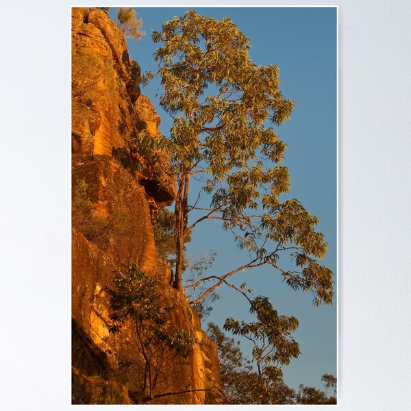 Item preview, Sandstone on Fire designed and sold by Werner Padarin.