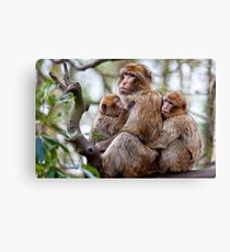 The Family Canvas Print