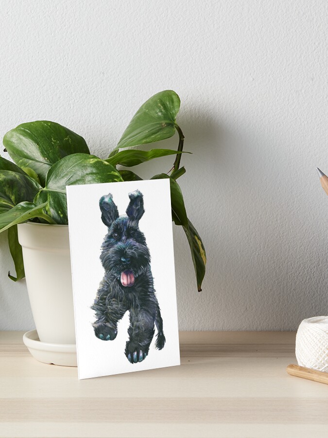 stuffed black miniature schnauzer