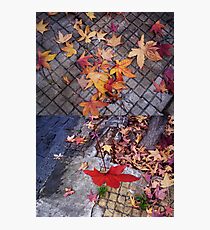 Otoño Photographic Print