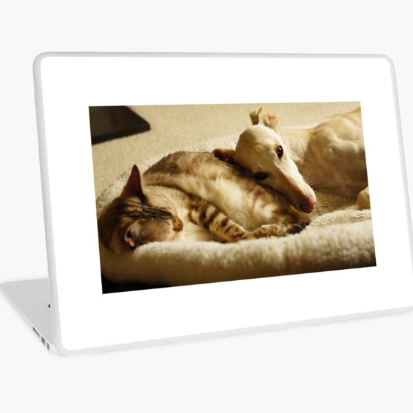 A Soft Cushion Laptop Skin