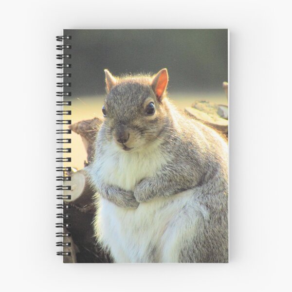 Item preview, Fat squirrel on a log designed and sold by SmUX.