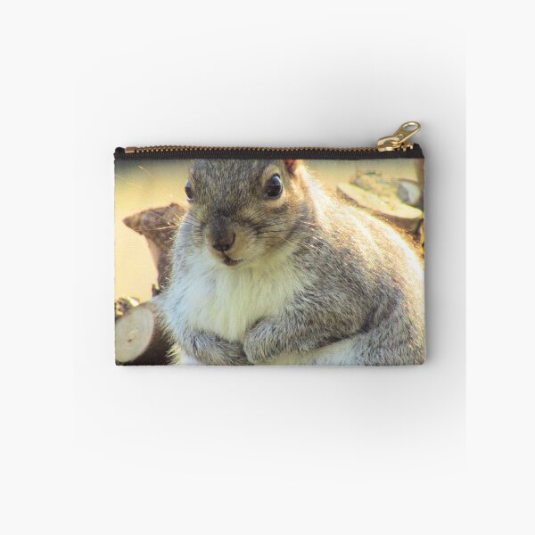Item preview, Fat squirrel on a log designed and sold by SmUX.