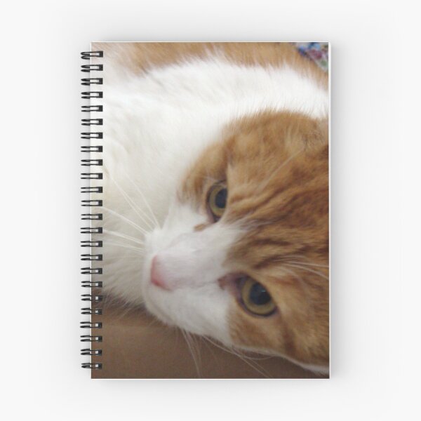 Item preview, Sweet Cat designed and sold by L.D. Franklin.