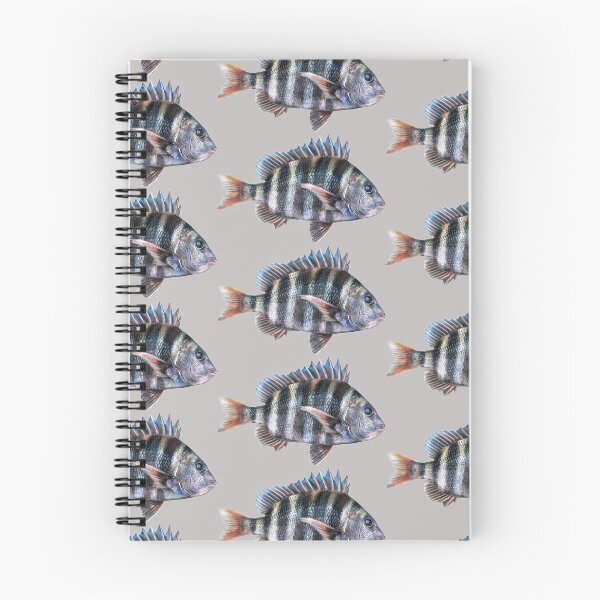 Item preview, Sheepshead designed and sold by fishindecals.