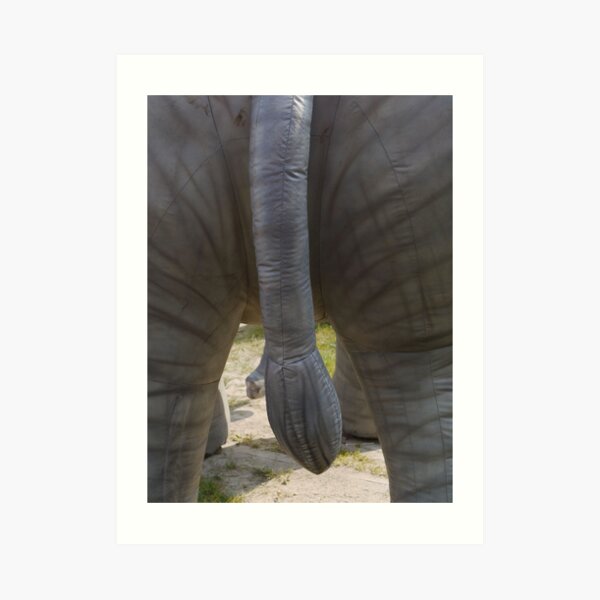 Elephant close-up - Tail and trunk Art Print
