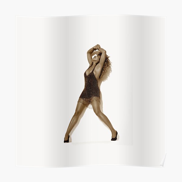 Tina Turner Poster