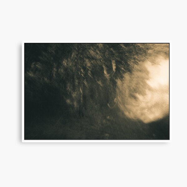 Enter The Other Realm Canvas Print