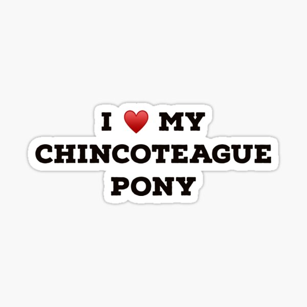 Item preview, I Love my Chincoteague Pony designed and sold by Yviemakes.