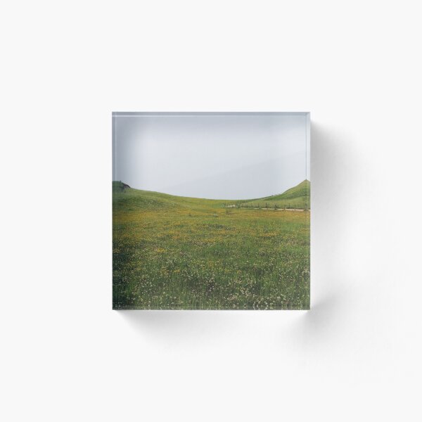 Volcano Wildflowers Acrylic Block