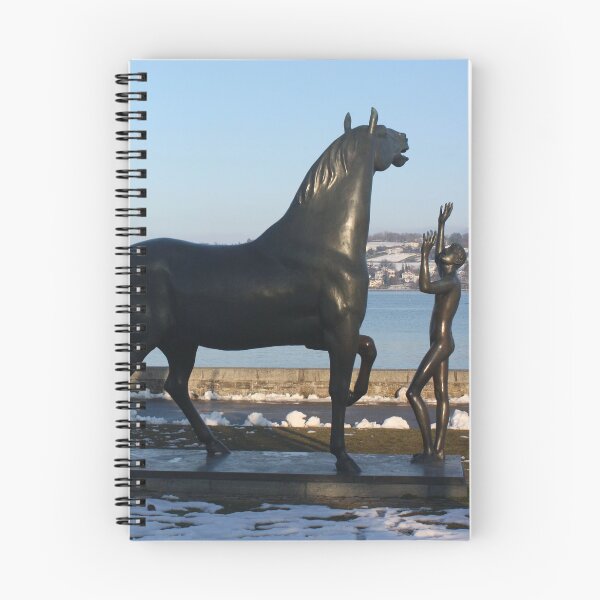 Item preview, "L'homme et le cheval" - a statue by Schwarz. Parc Mon-Repos,  Geneva, Switzerland designed and sold by Igor Pozdnyakov.
