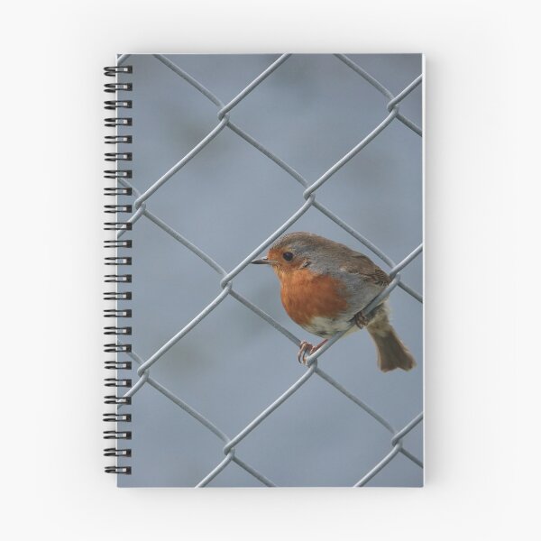 Item preview, Robin and chain link fence designed and sold by frogs123.