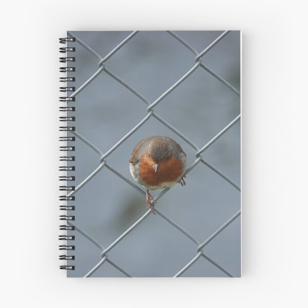 Item preview, Robin designed and sold by frogs123.
