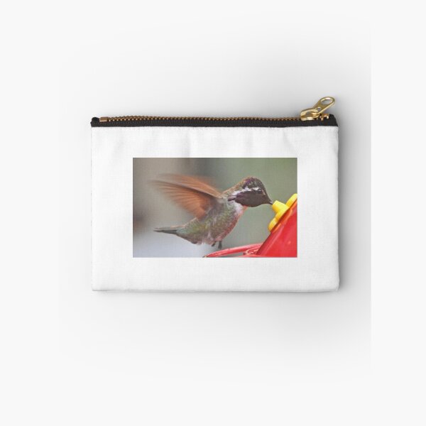 Item preview, ADOLESCENT WHITE EARED HUMMINGBIRD ON FEEDER PERCH designed and sold by JAYMILO.
