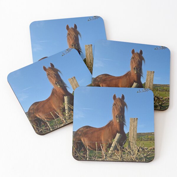 Item preview, Horse Sense. designed and sold by Michael Haslam.