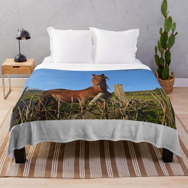 Item preview, Horse Sense. designed and sold by Michael Haslam.