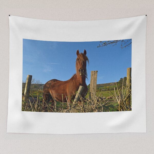 Item preview, Horse Sense. designed and sold by Michael Haslam.