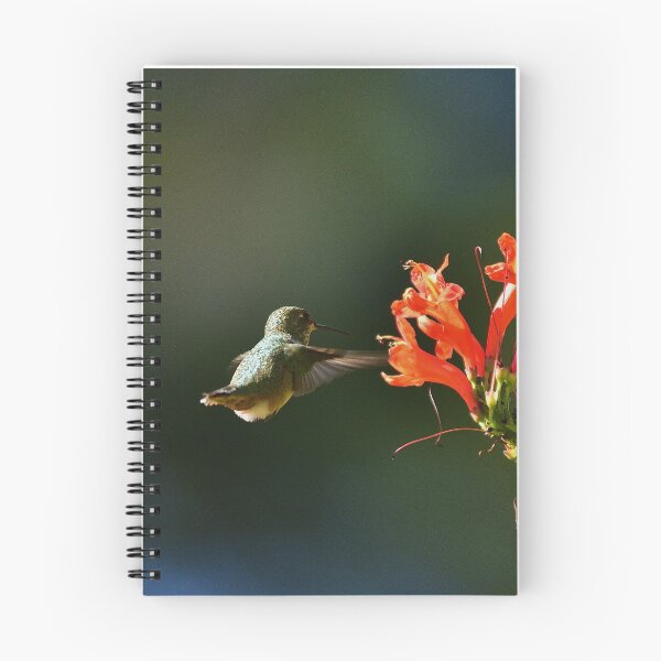 Item preview, Beautiful Hummer designed and sold by 1Lbrody1.