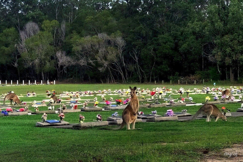 "Visitors at the Lawn Cemetery" by myraj Redbubble