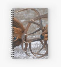Cuaderno de espiral Bull Elk In The Rut