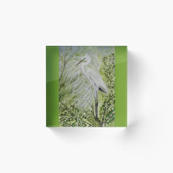 Item preview, Great White Egret Mating Display Watercolor Painting designed and sold by 1Lbrody1.