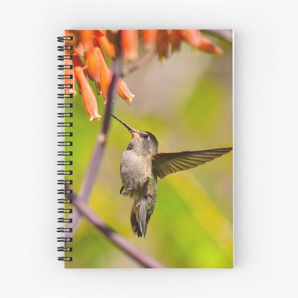 Item preview, Hummingbird on Orange Aloe Flower 5 designed and sold by 1Lbrody1.