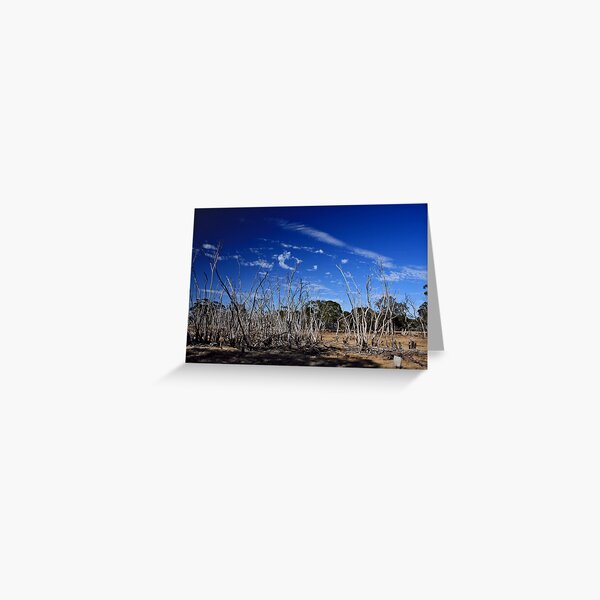 Dead Swamp II Greeting Card