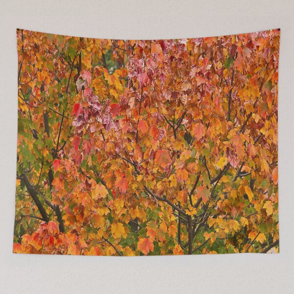 Item preview, Scarlet Maple Time designed and sold by Joy Watson - Natural Light Photography .