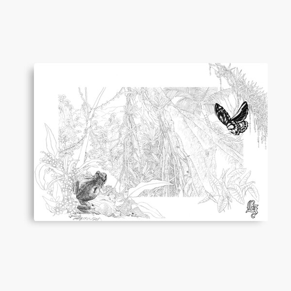 McDonald's Frog (ink draft) Canvas Print