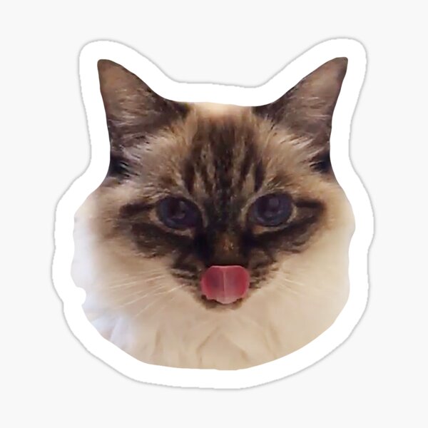 mlem - primcess pamcake Sticker