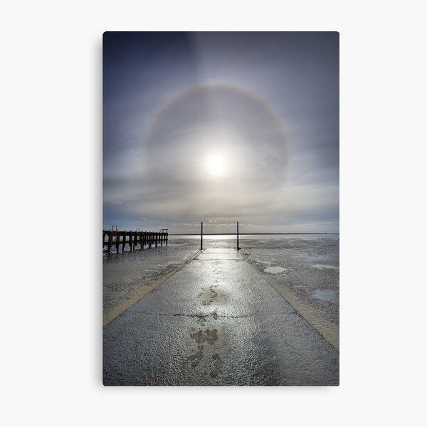 Metal Print