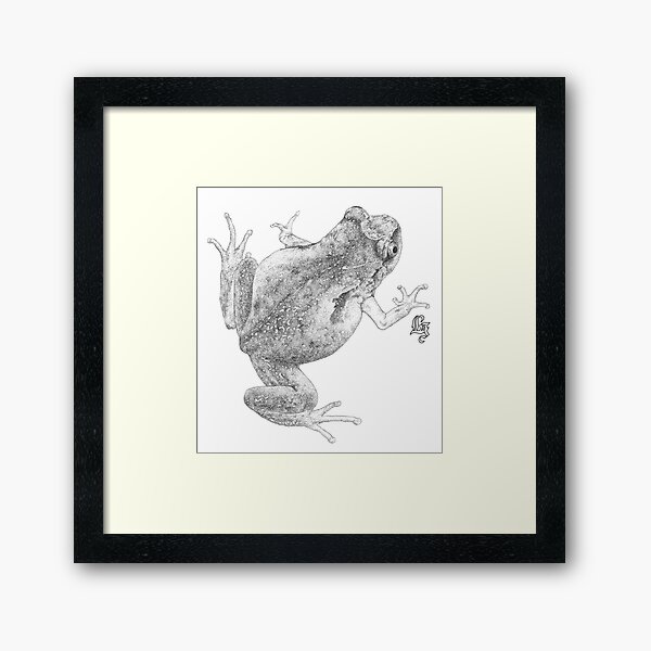 McDonald's Frog (ink detail) Framed Art Print