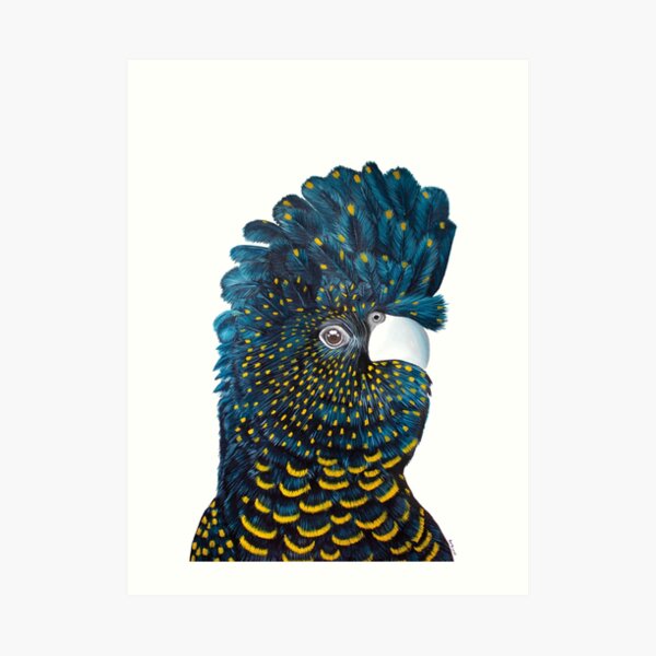 Black Cockatoo Art Print Art Print