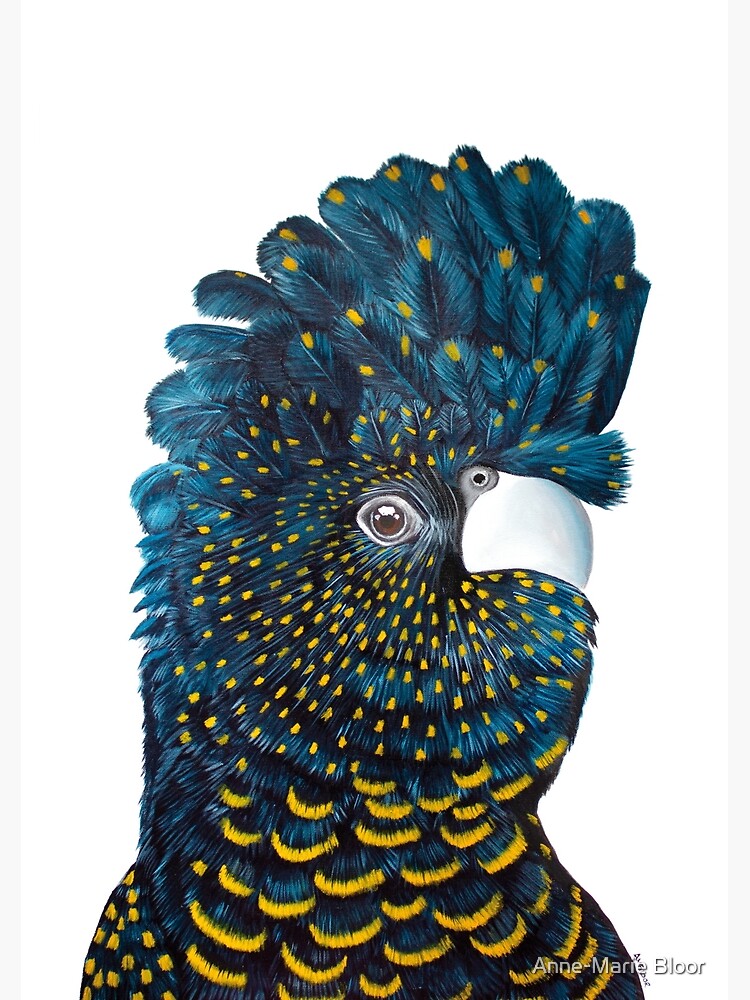 black cockatoo print dom