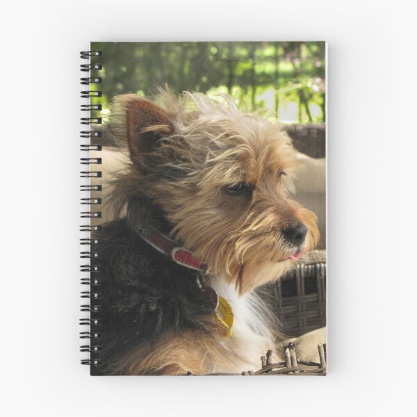 Item preview, Chipper - a yorkie poo  designed and sold by DPalmer.