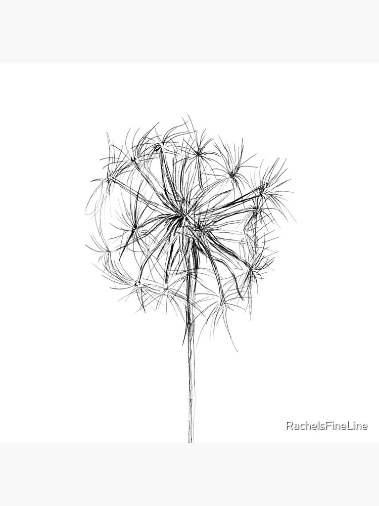 Dandelion Wish Flower Drawing by RachelsFineLine