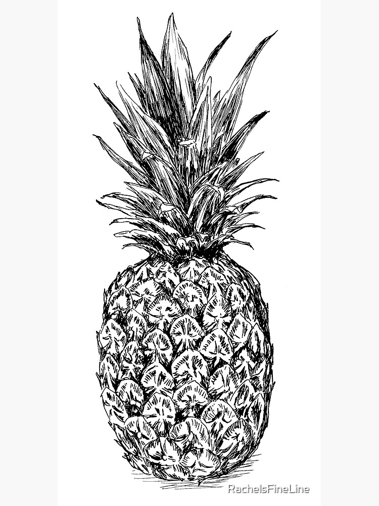 "Pineapple pen drawing" Poster for Sale by RachelsFineLine Redbubble