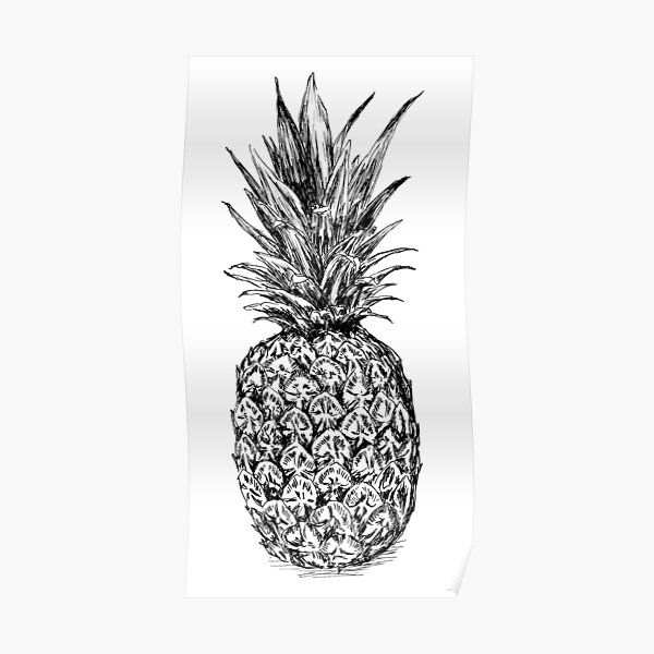 "Pineapple pen drawing" Poster for Sale by RachelsFineLine Redbubble