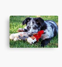 Mine Canvas Print